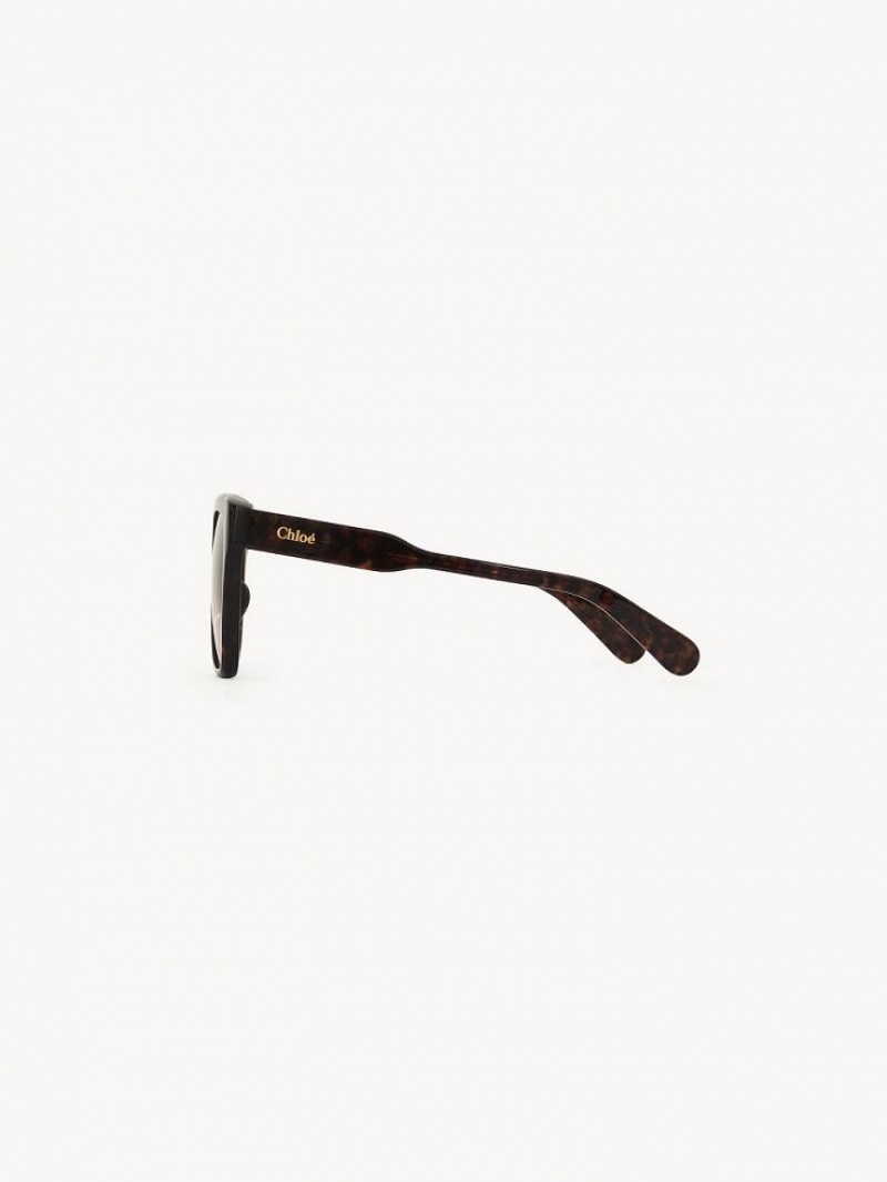 Gafas de Sol Chloe Gayia Negras | CHE-SR14571