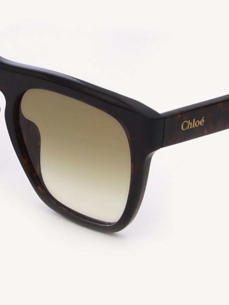 Gafas de Sol Chloe Gayia Negras | CHE-SR14571