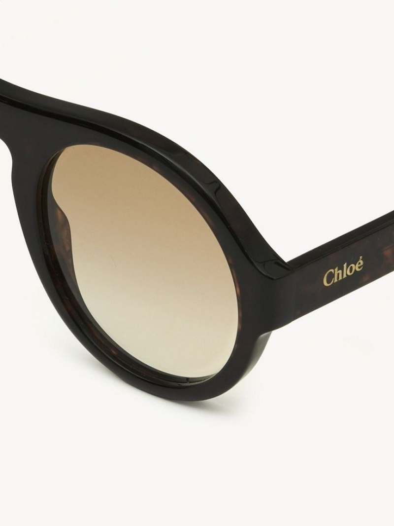 Gafas de Sol Chloe Gayia Negras | CHE-SR14572