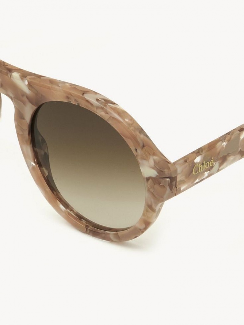 Gafas de Sol Chloe Gayia Rosas Beige | CHE-SR14573