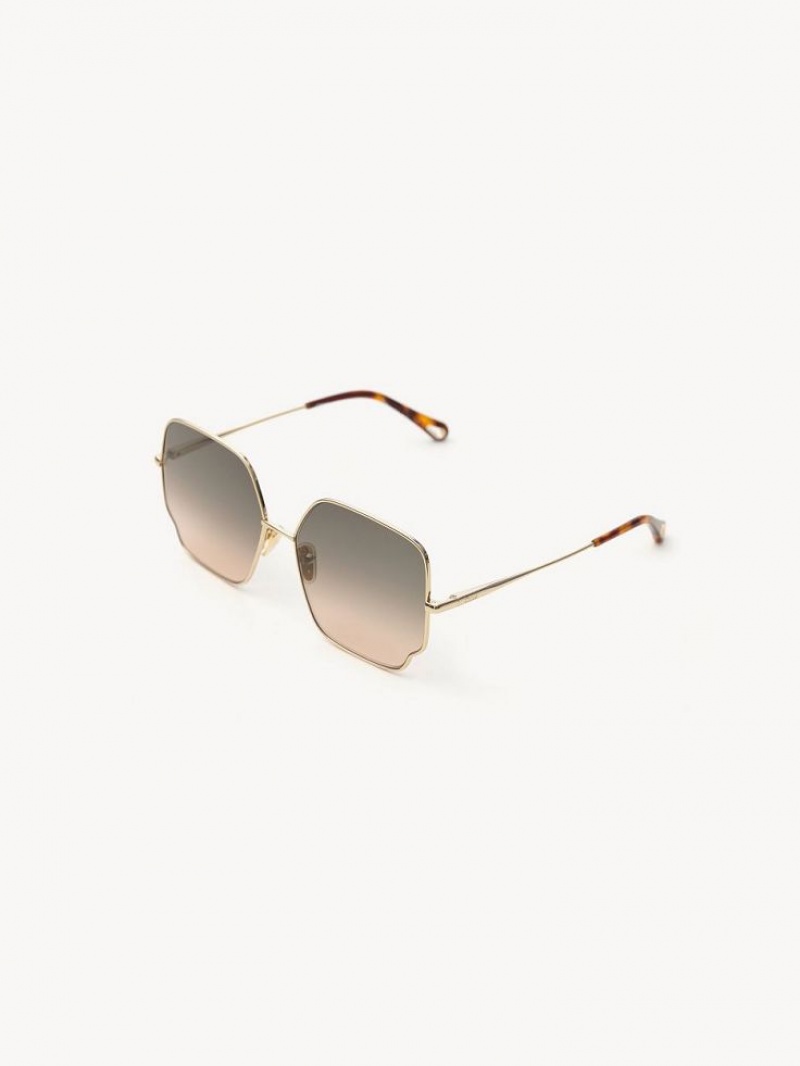 Gafas de Sol Chloe Joni Marrones Beige | CHE-SR14541