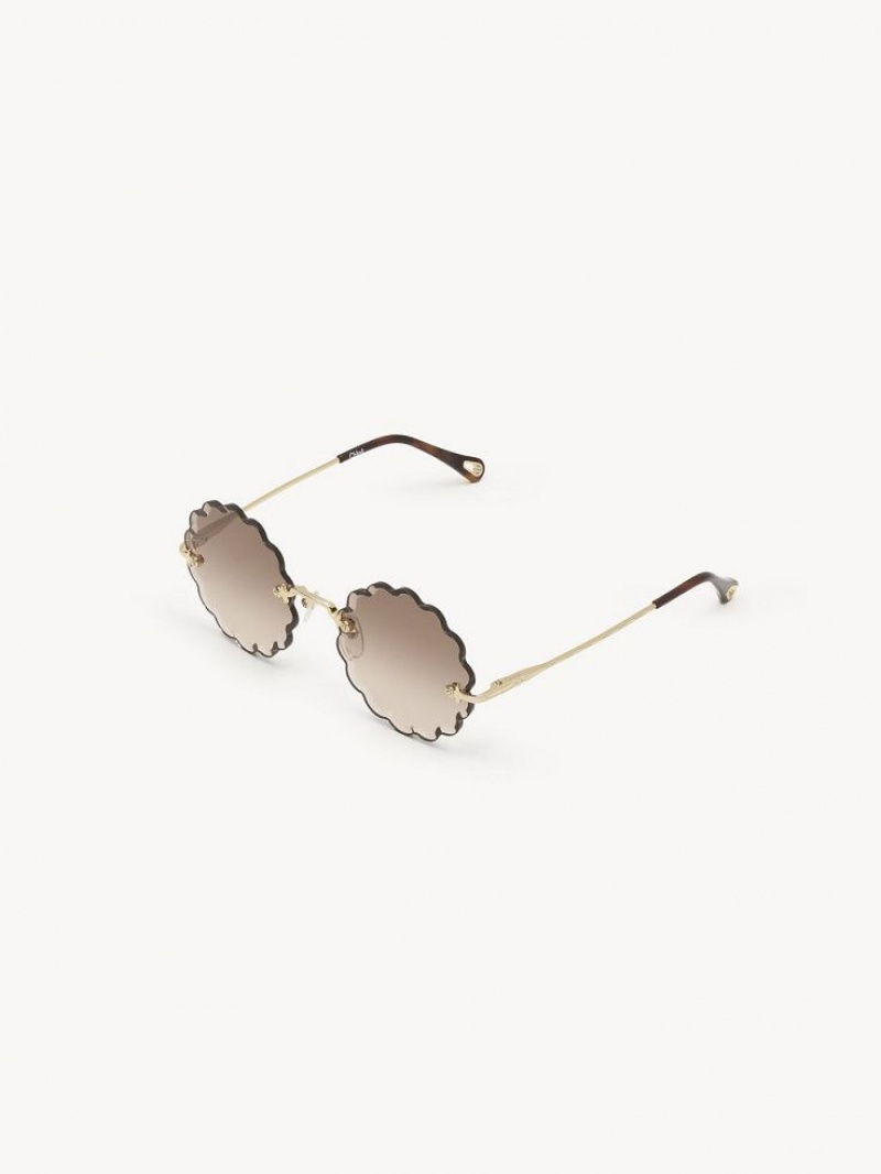 Gafas de Sol Chloe Rosie Petite Marrones | CHE-SR14535