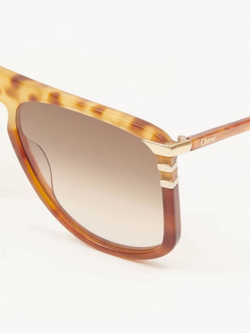 Gafas de Sol Chloe West Havana Patchwork | CHE-SR14564