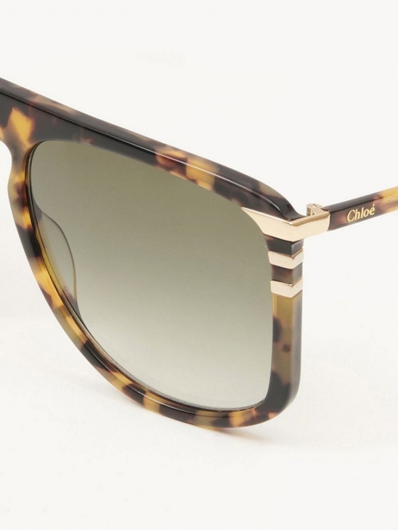 Gafas de Sol Chloe West Havana | CHE-SR14565