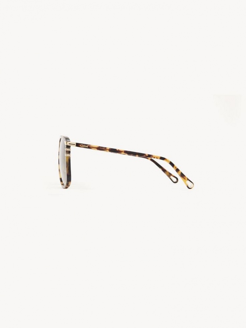 Gafas de Sol Chloe West Havana | CHE-SR14565