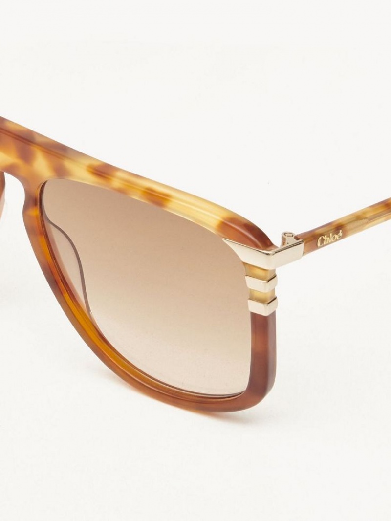 Gafas de Sol Chloe West Small Havana Patchwork | CHE-SR14521