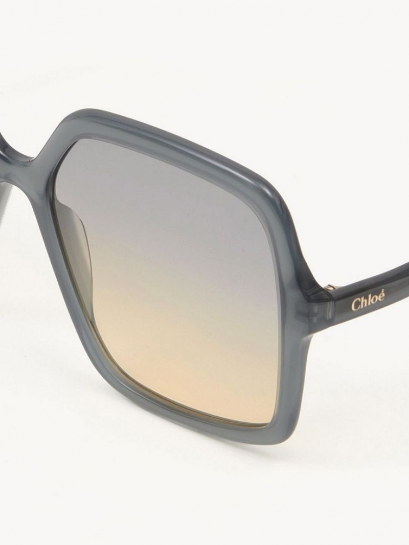 Gafas de Sol Chloe Zelie Gris | CHE-SR14552