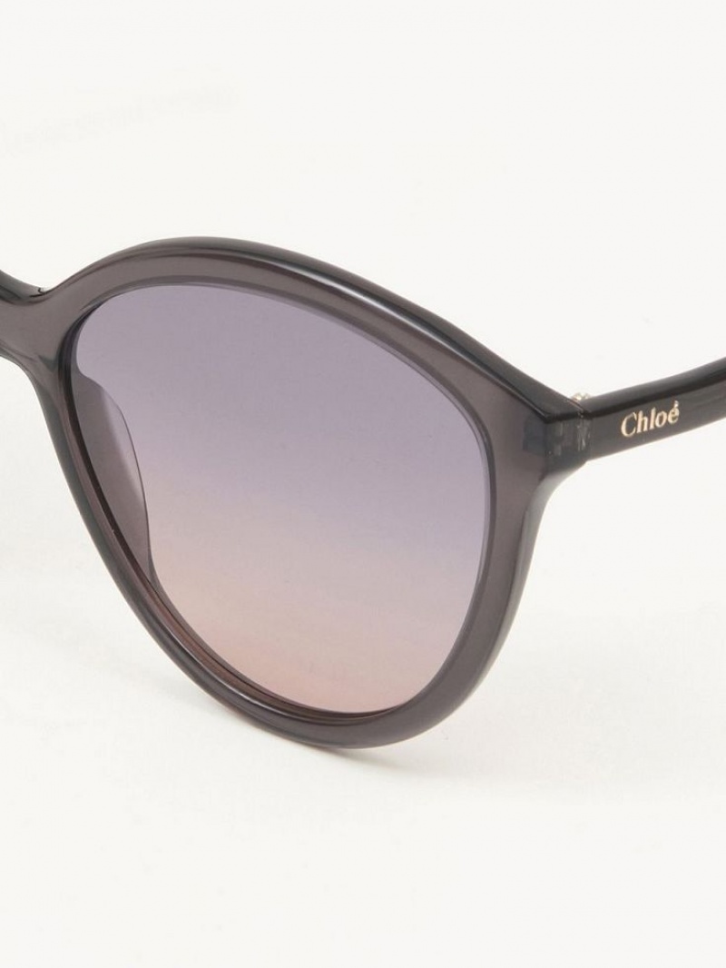 Gafas de Sol Chloe Zelie Gris | CHE-SR14557