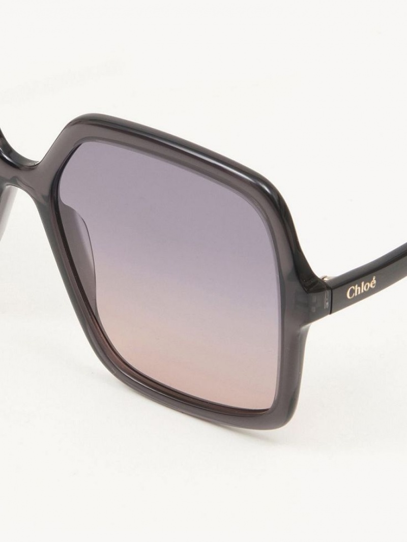 Gafas de Sol Chloe Zelie Gris | CHE-SR14561