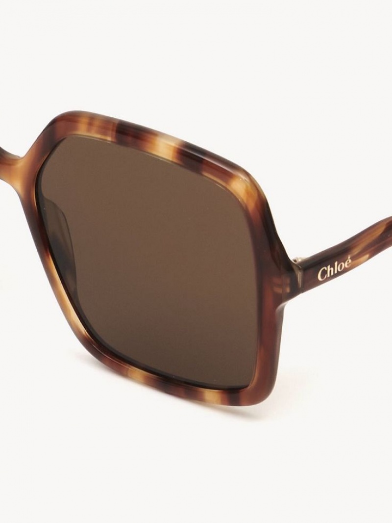 Gafas de Sol Chloe Zelie Marrones | CHE-SR14515