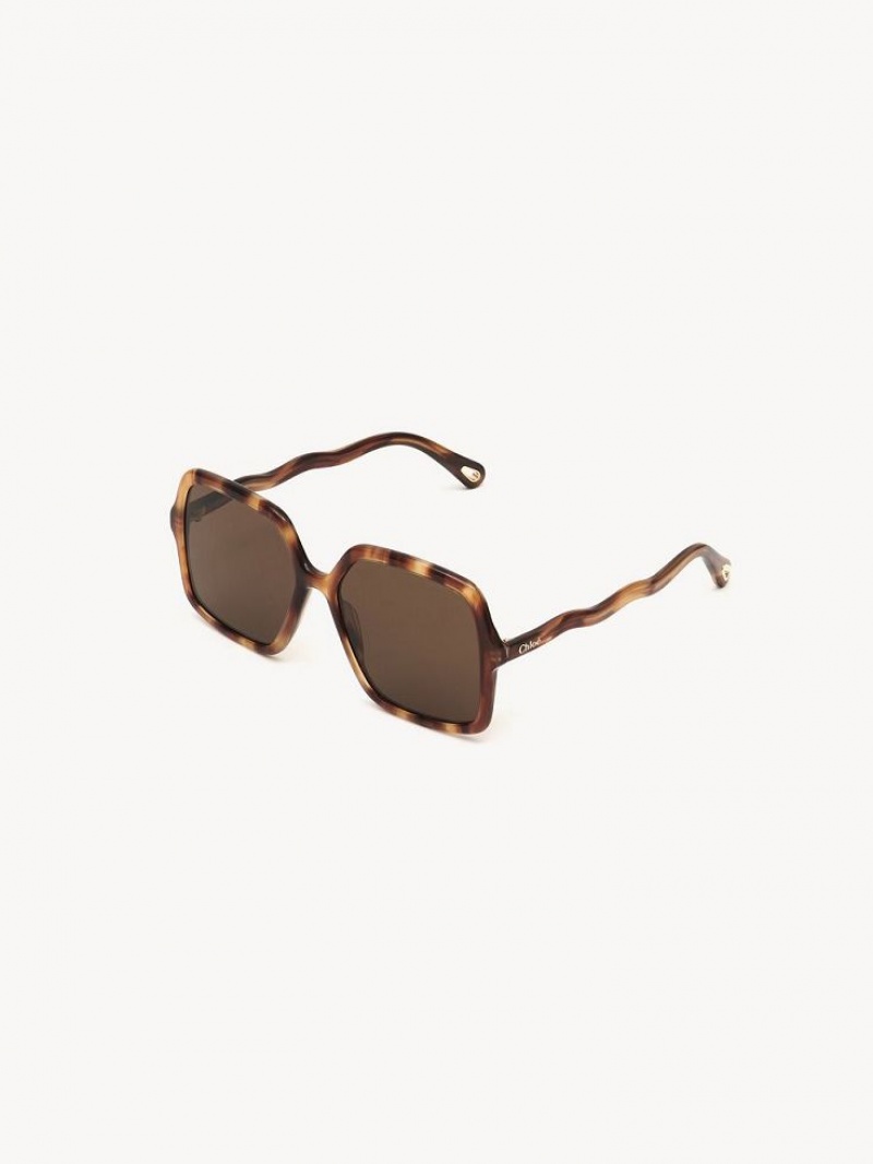 Gafas de Sol Chloe Zelie Marrones | CHE-SR14515