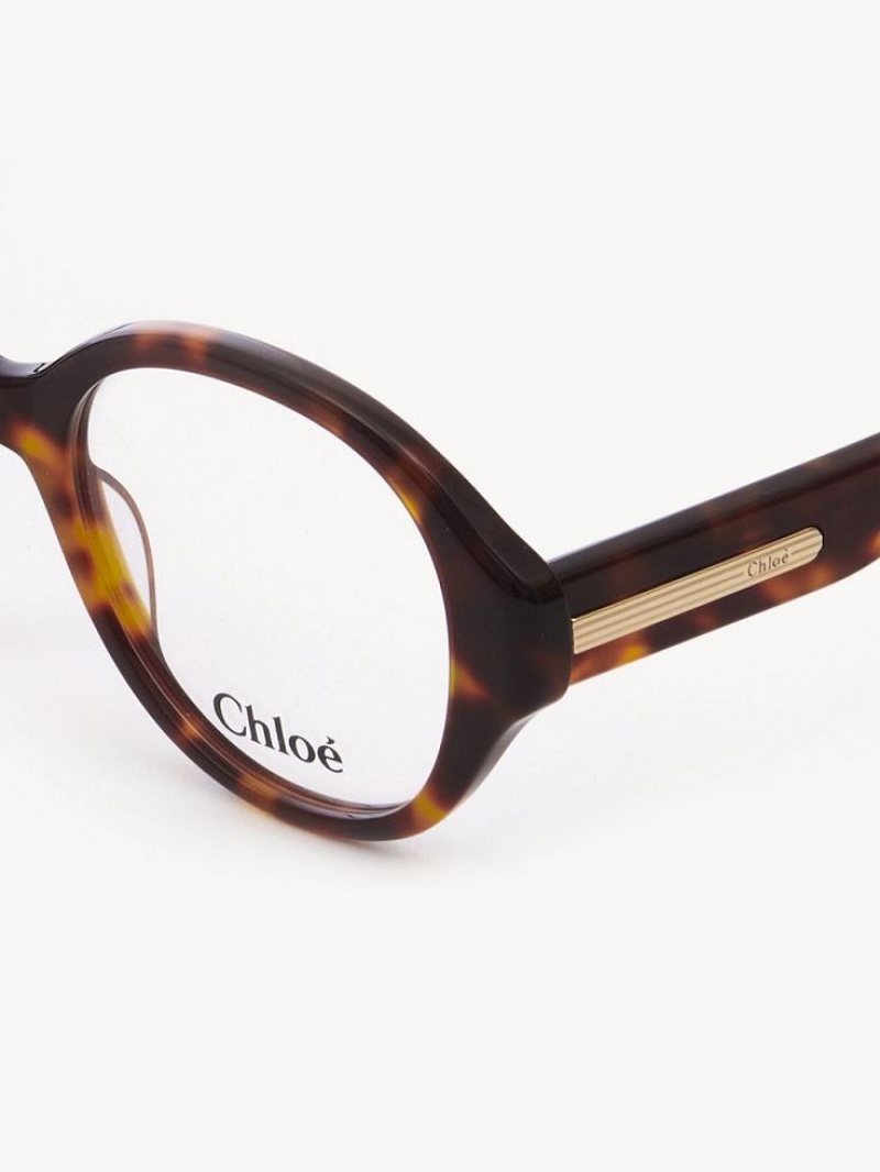 Los Anteojos Chloe Mirtha Havana | CHE-SR14583