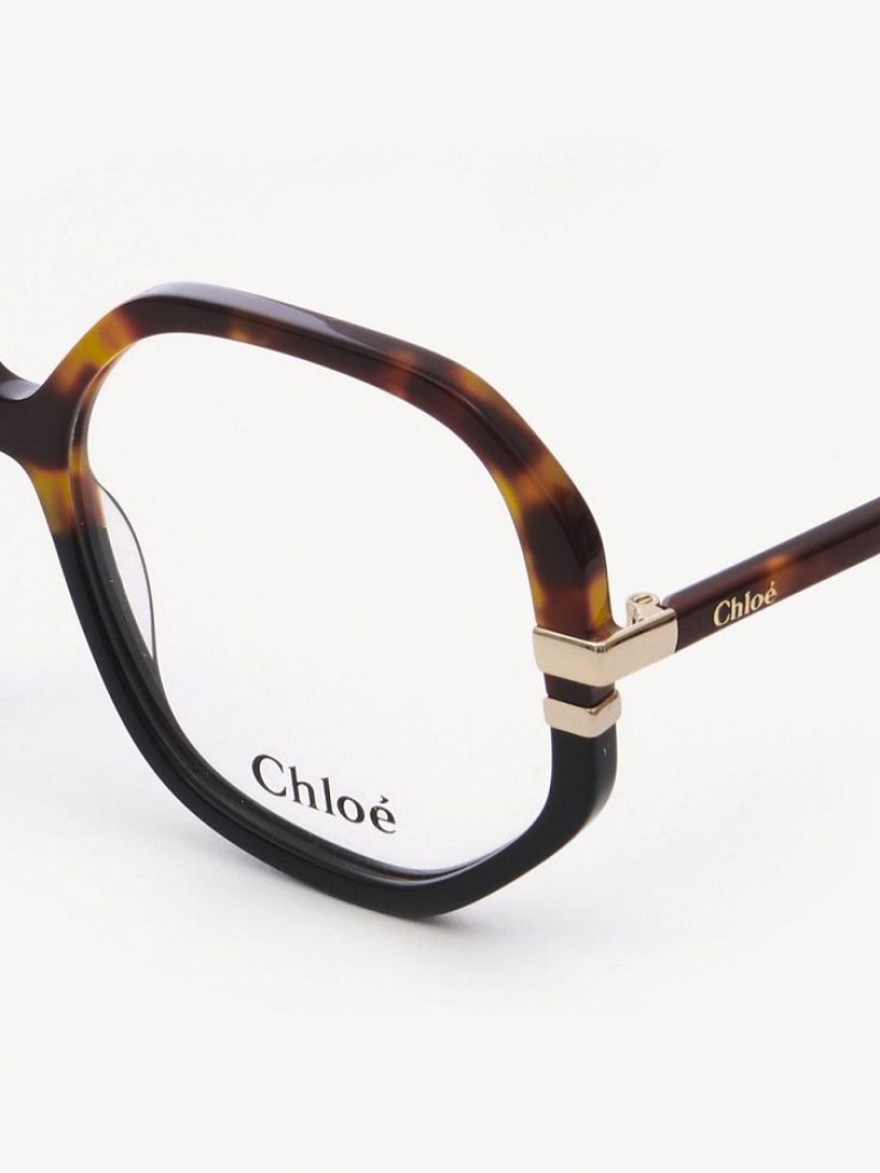 Los Anteojos Chloe West Havana | CHE-SR14584