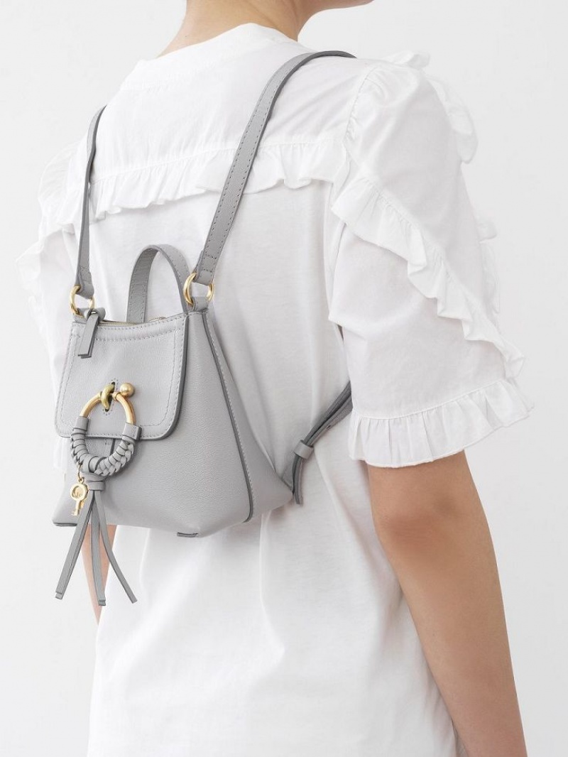 Mochilas Chloe Joan Gris | CHE-SR14792