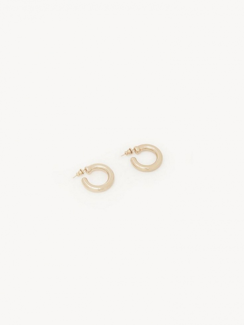 Pendientes Chloe Maura Hoops Doradas | CHE-SR14359