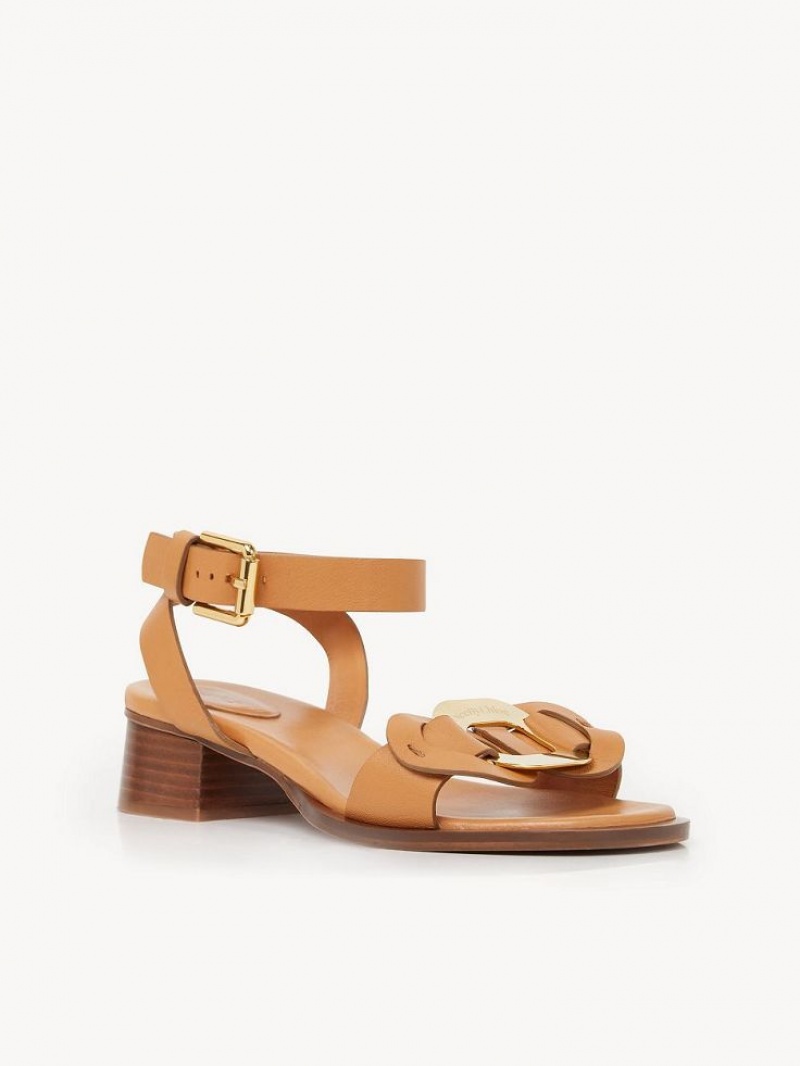 Sandalias Chloe Chany High-heel Marrones | CHE-SR14828