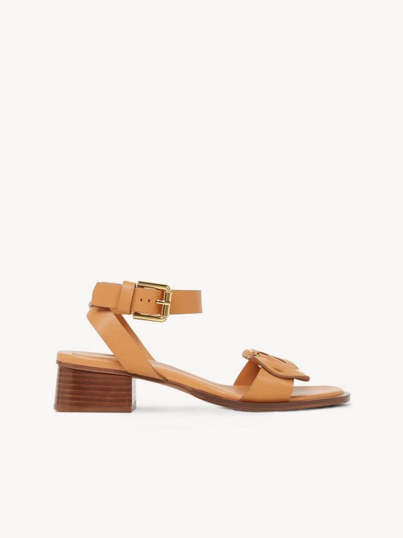 Sandalias Chloe Chany High-heel Marrones | CHE-SR14828