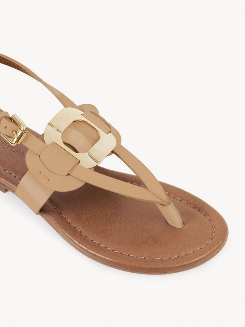 Sandalias Chloe Chany Marrones | CHE-SR14824