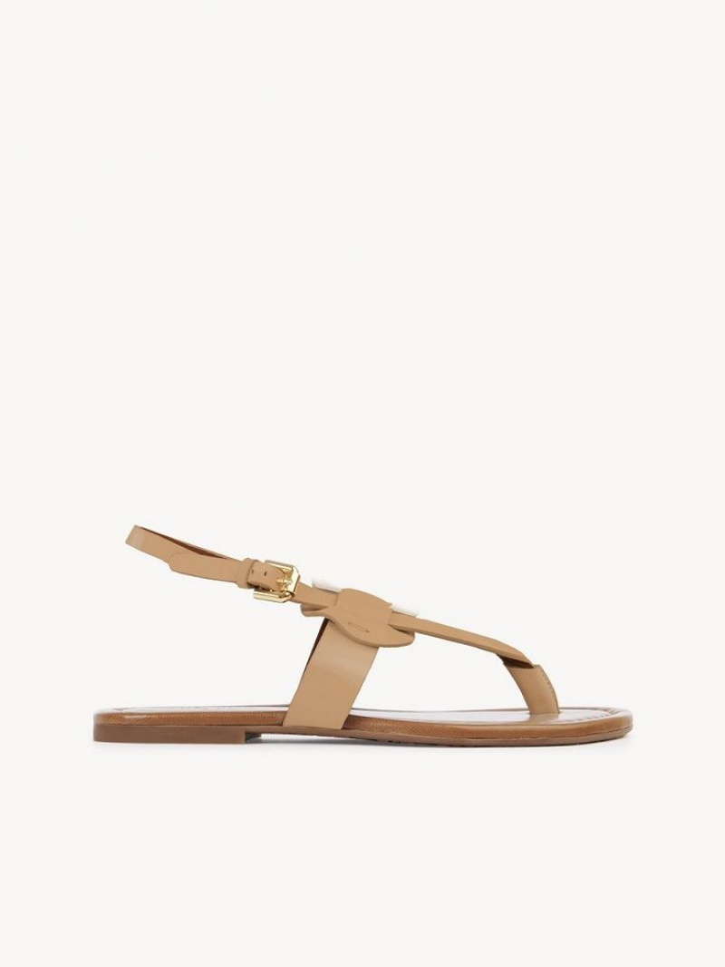 Sandalias Chloe Chany Marrones | CHE-SR14824