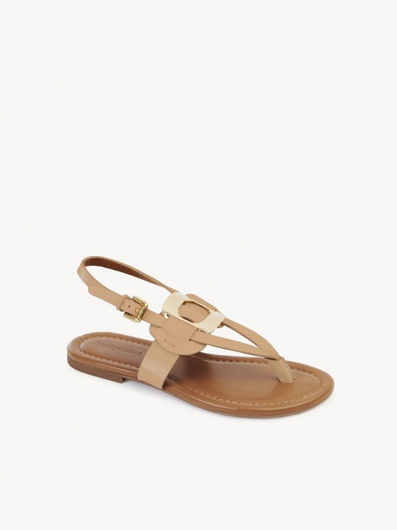 Sandalias Chloe Chany Marrones | CHE-SR14824