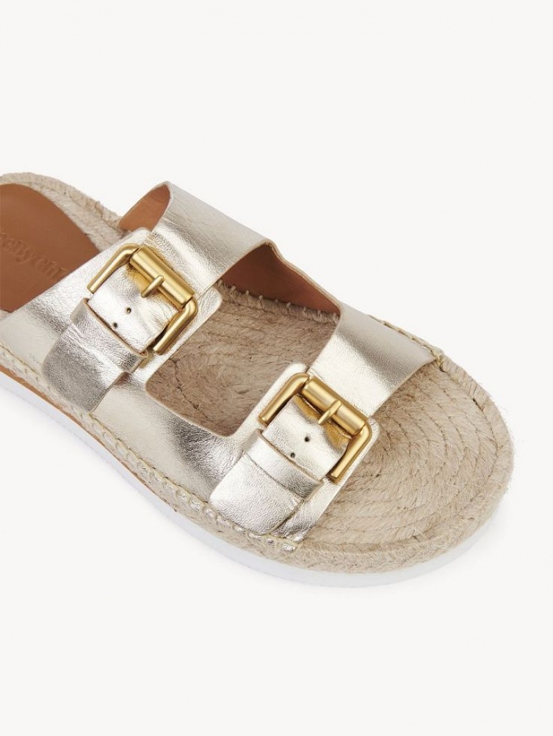 Sandalias Chloe Glyn Plataforma Alpargata Plateadas | CHE-SR14802