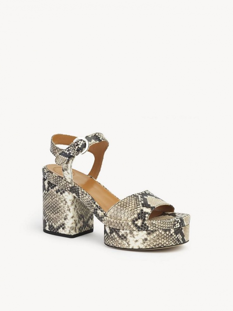 Sandalias Chloe Odina High-heel Gris | CHE-SR14172