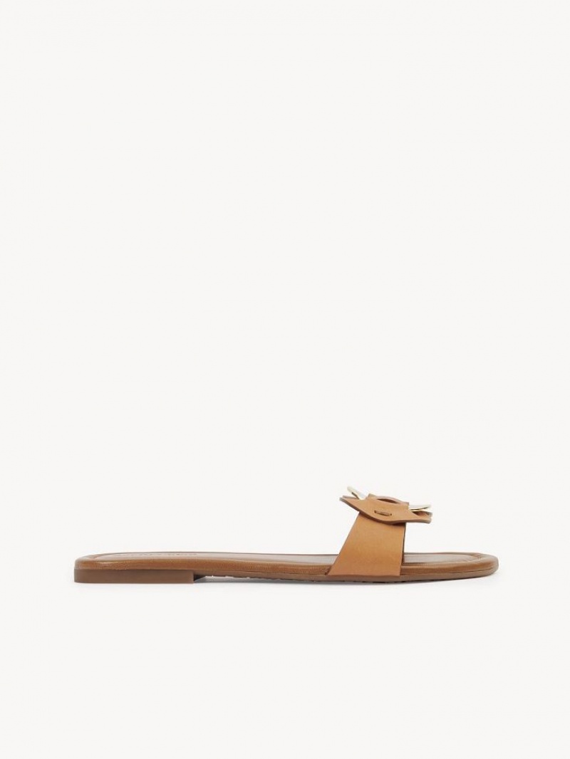 Zapatos Planos Chloe Chany Mule Marrones | CHE-SR14837