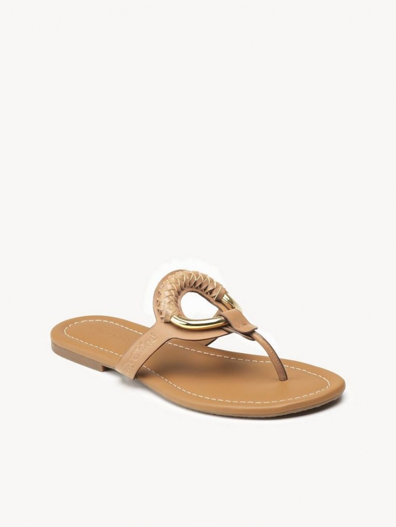 Zapatos Planos Chloe Hana Flip-flop Marrones | CHE-SR14818