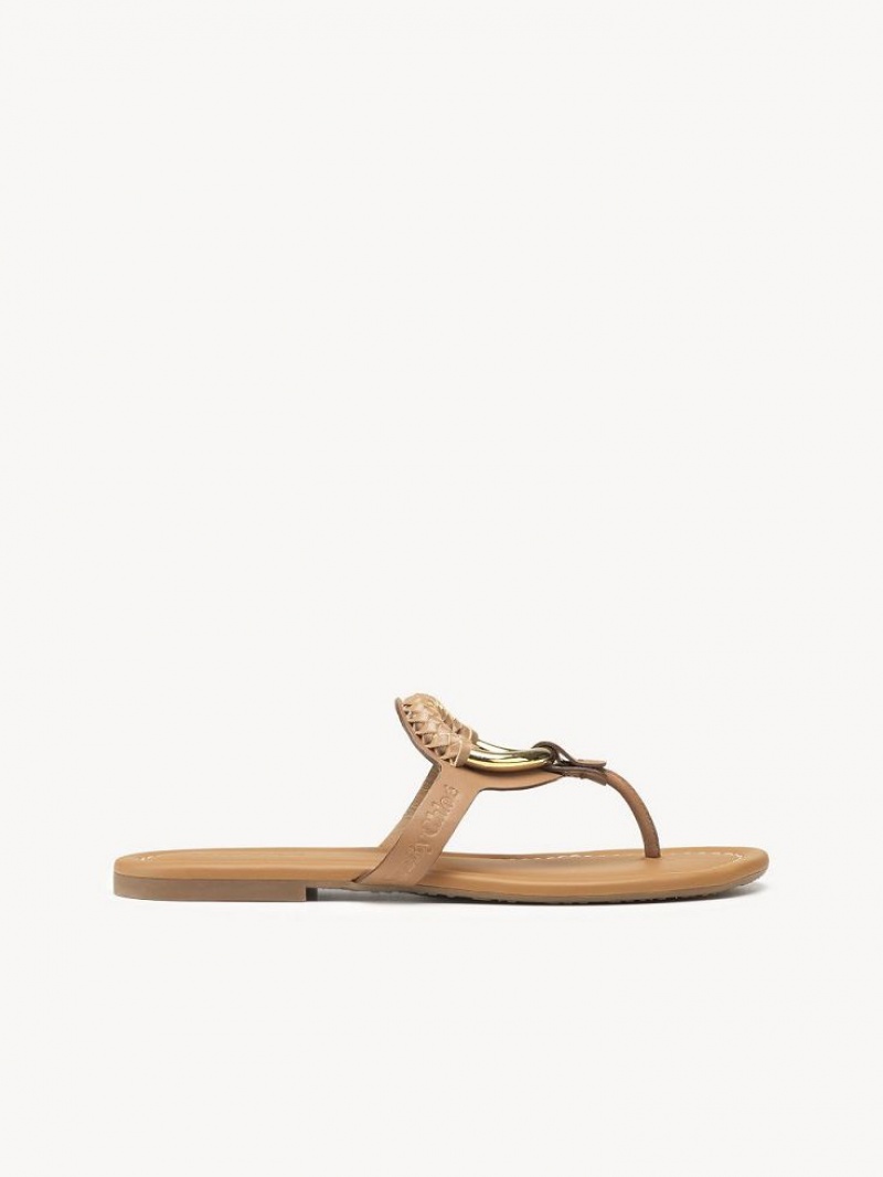 Zapatos Planos Chloe Hana Flip-flop Marrones | CHE-SR14818