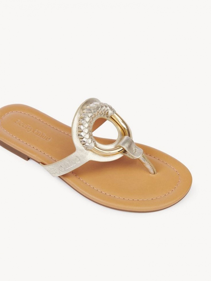 Zapatos Planos Chloe Hana Flip-flop Plateadas | CHE-SR14829