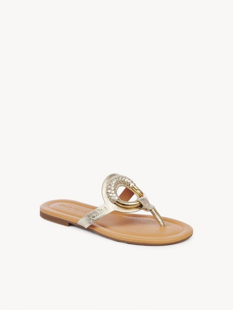 Zapatos Planos Chloe Hana Flip-flop Plateadas | CHE-SR14829